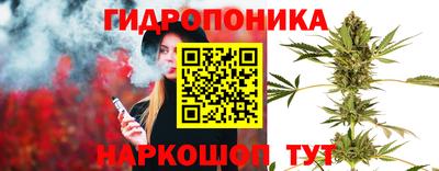 эйфоретик Кулебаки