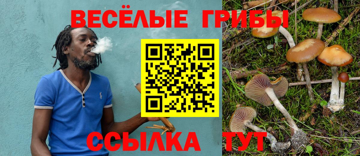 Галлюциногенные грибы GOLDEN TEACHER  Галлюциногенные грибы мухоморы  Вход с VPN  Жуковский 